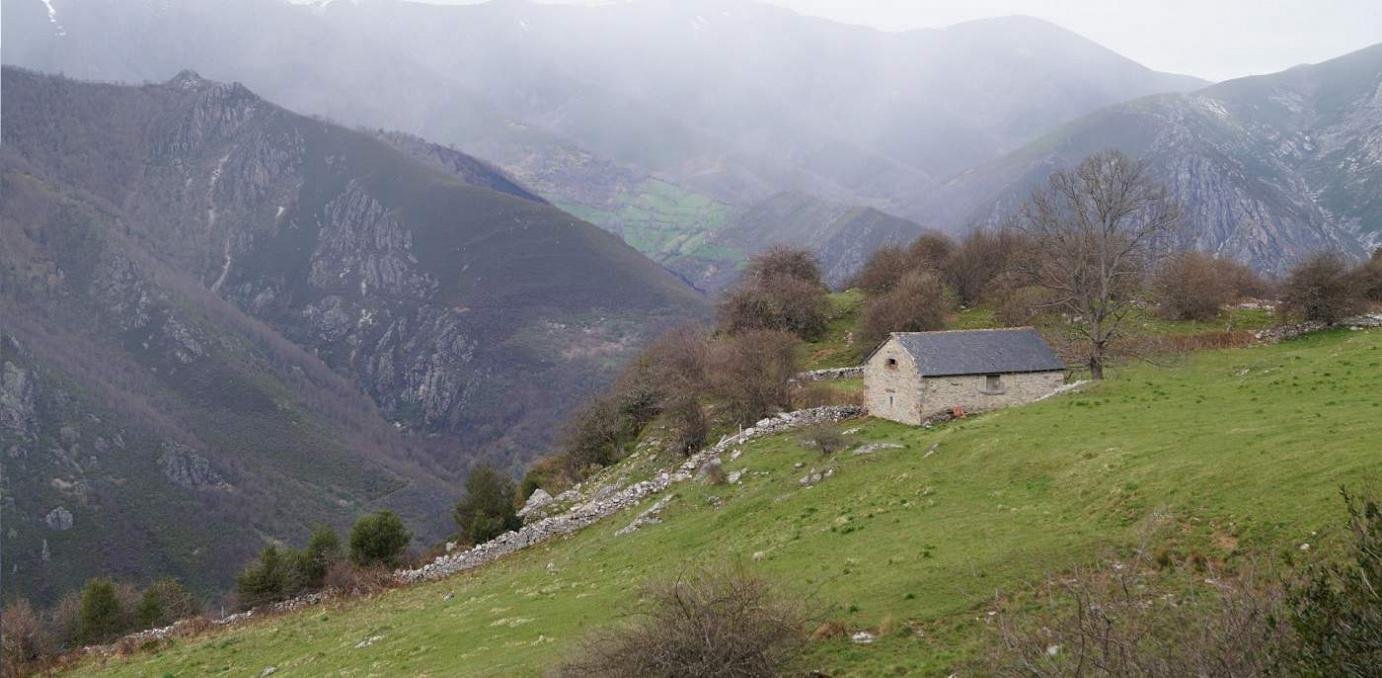 Cabaña de Fontisiella, Corés