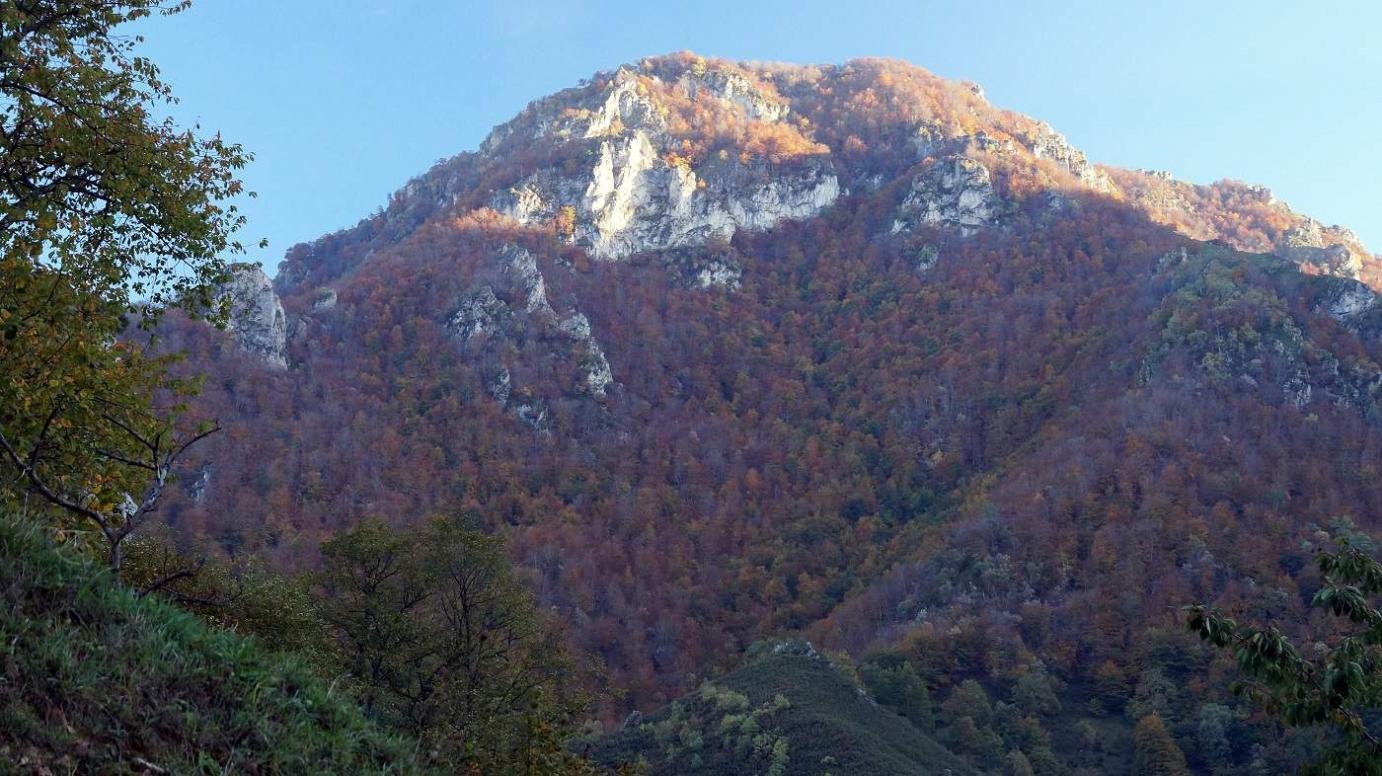 Otoño valle de Saliencia