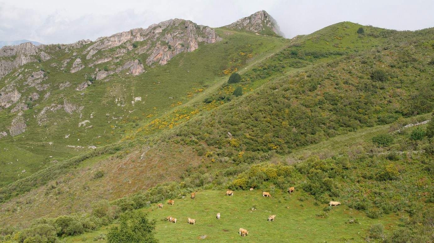 Camín Real de la Mesa, Somiedo