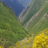 primavera en Somiedo